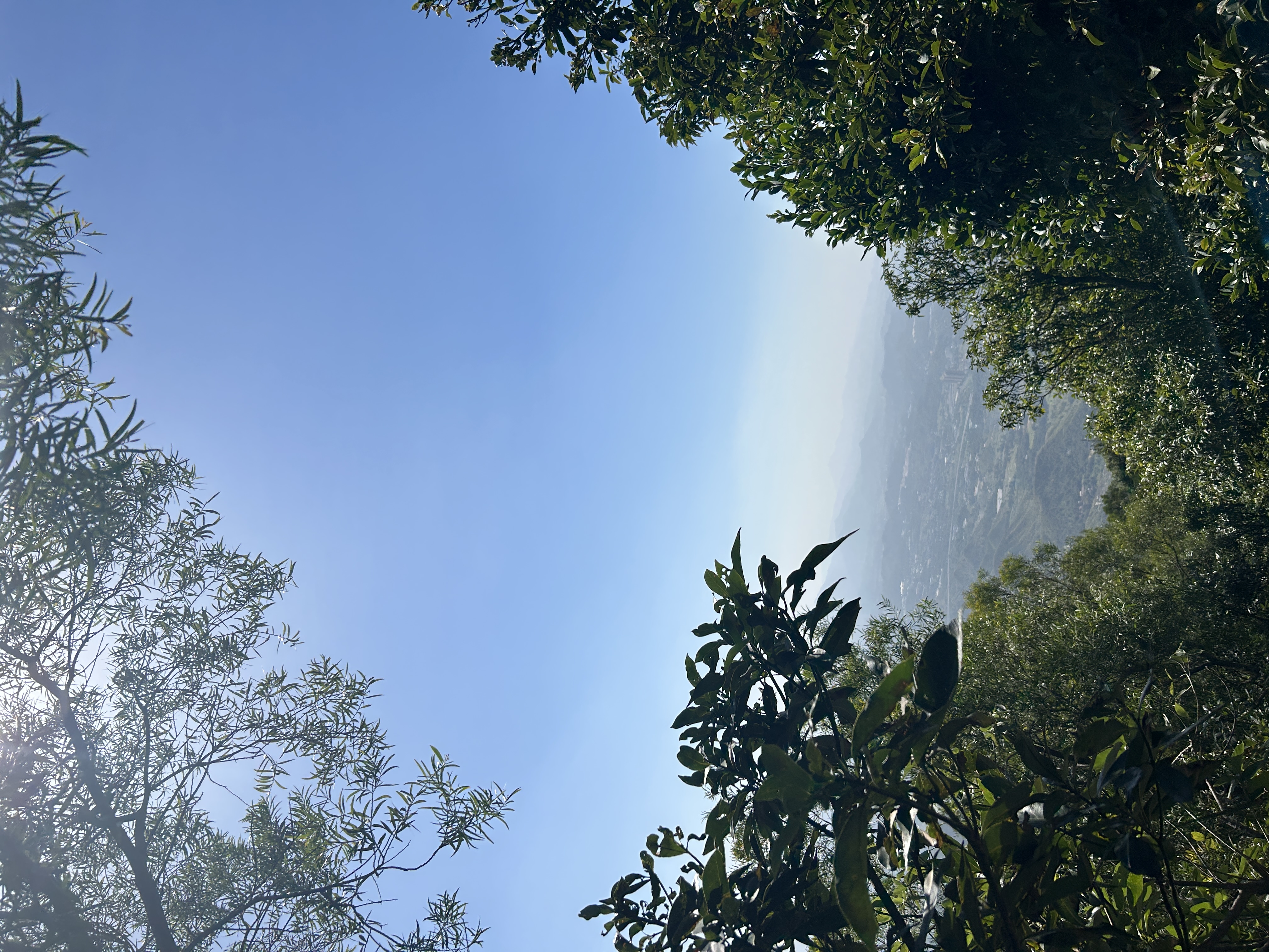 凤凰山